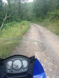 bike_forest_road2